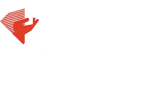 IFS Group logo